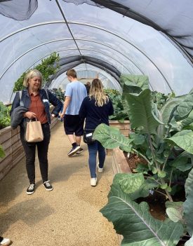 polytunnel