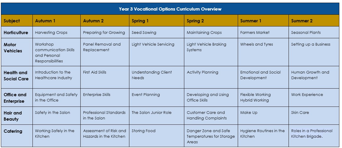 vocational options year 3